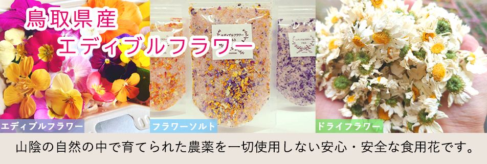 無農薬 科学肥料不使用 鳥取県内で唯一の食用花栽培 花とり県食感